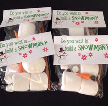 Load image into Gallery viewer, Do You Want To Build A Snowman Snow Day Kit