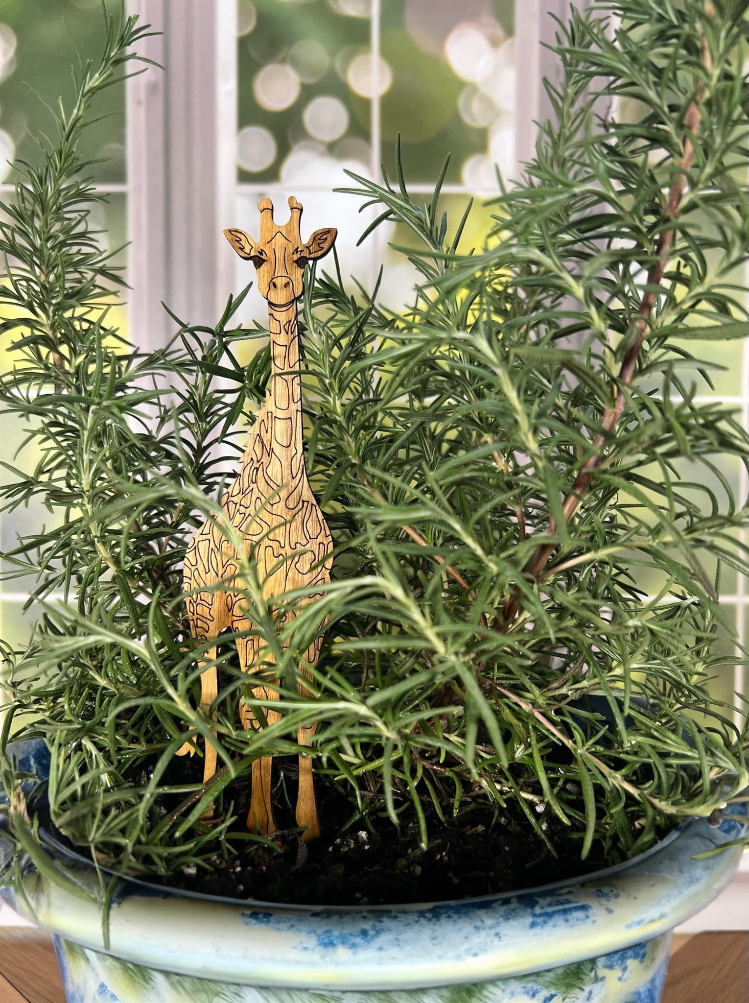 plant stakes indoor Multi-Piece Plant Stakes – Creative Cove Designs