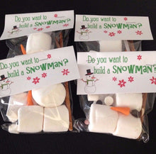 Load image into Gallery viewer, Do You Want To Build A Snowman Snow Day Kit

